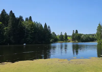 Blick auf einen ruhigen See, umgeben von Bäumen und Wiese. Im Hintergrund sind einige Hügel und ein Boot auf dem Wasser sichtbar.