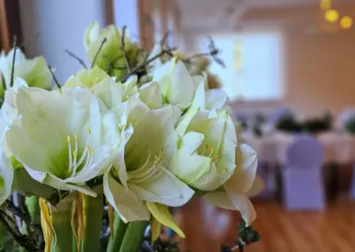 Nahaufnahme von weißen Amaryllisblüten mit gelben Staubgefäßen, im Hintergrund ein festlich gedeckter Tisch mit weißen Stühlen.